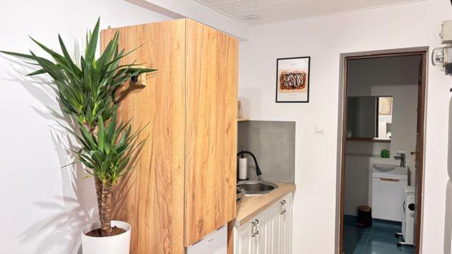 Apartament Boho Stare Miasto Nowy Sącz Exteriér fotografie